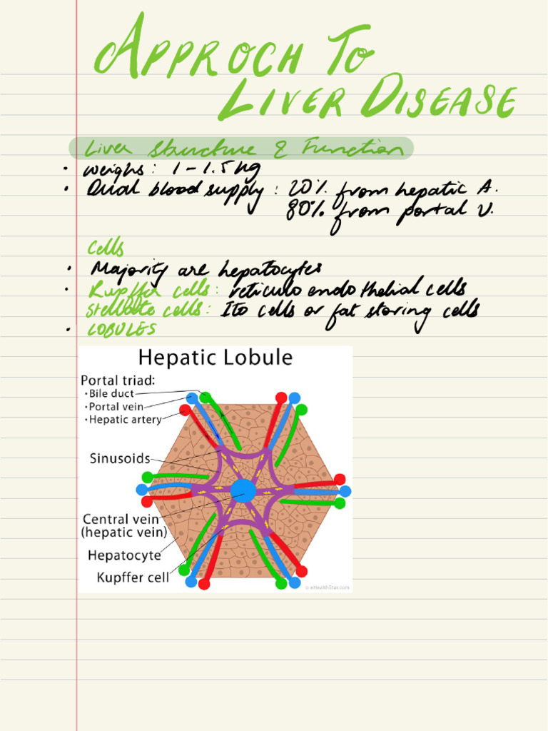 Understanding Liver Disease: Causes & Diagnosis | PDF | Liver | Cirrhosis