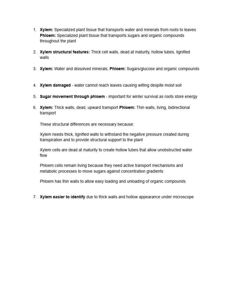 Study Material Grade 8 Answer Scheme | PDF