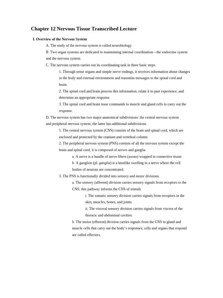 Chapter 12 Transcribed Lecture | PDF | Chemical Synapse | Action Potential