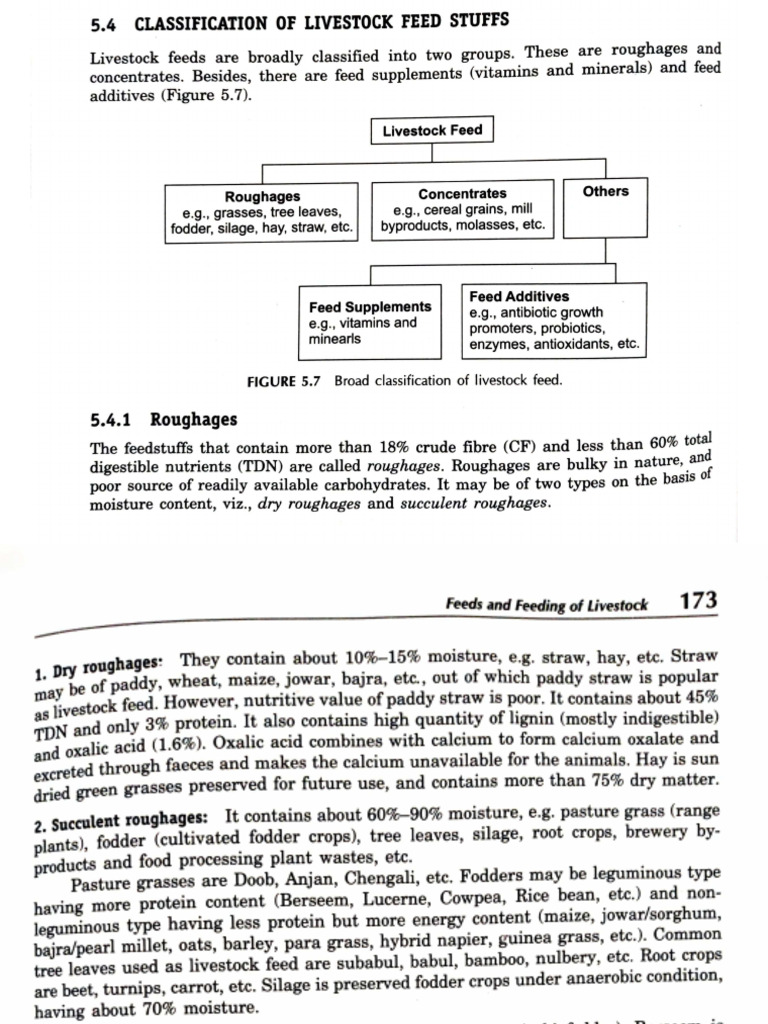 Feeds and Feeding Livestock Part 2 | PDF