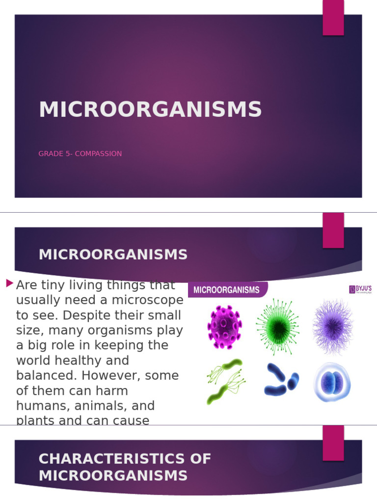 Microorganisms | PDF | Microorganism | Fungus