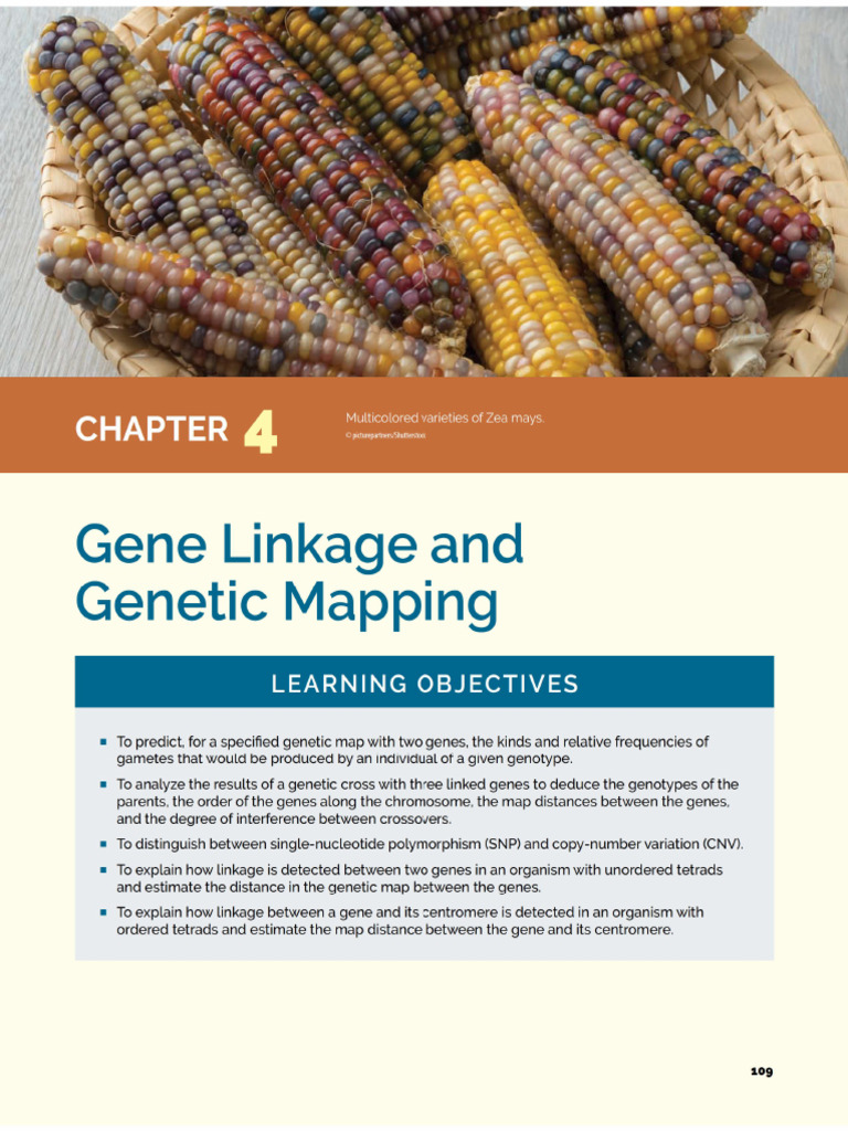 Linkage,Recombination,Mapping | PDF