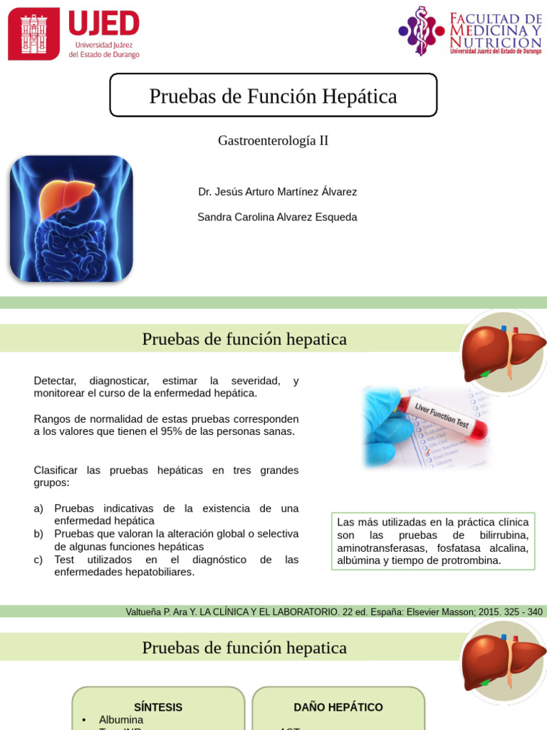 2.Pruebas de Función Hepática | PDF | Transaminasa | Hepatitis