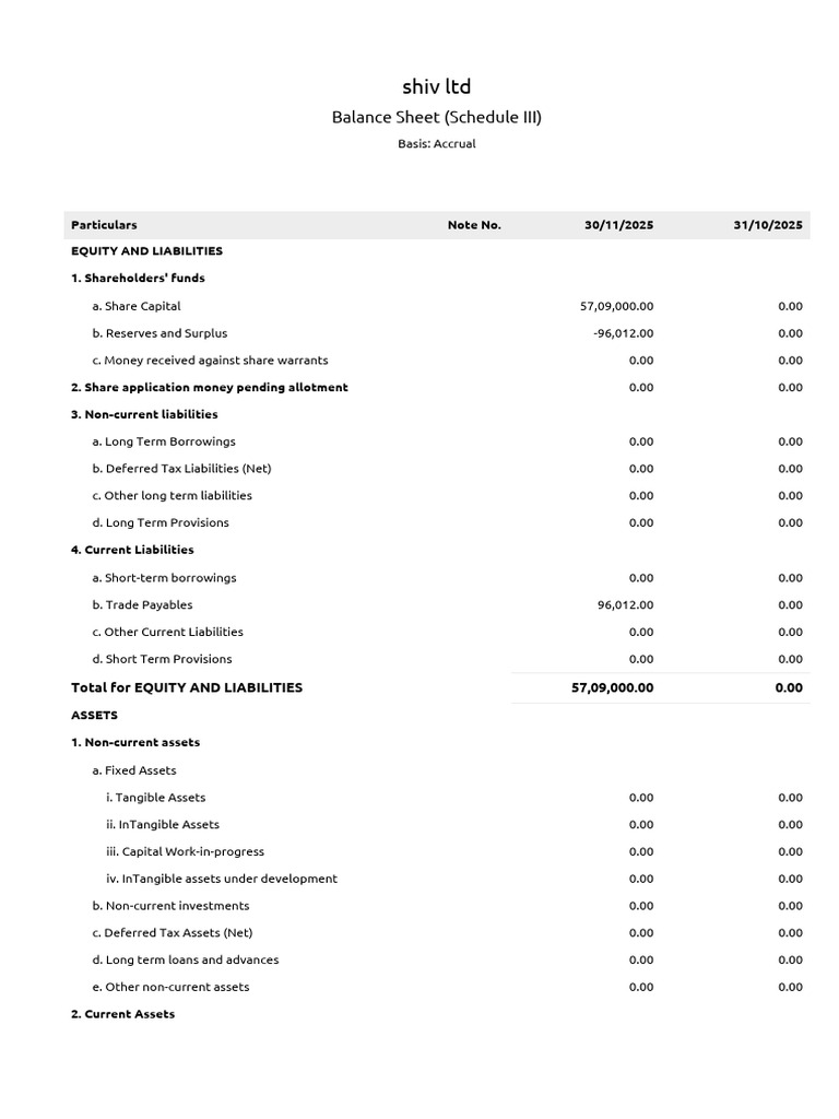 Shiv Ltd Balance Sheet Overview 2025 | PDF | Balance Sheet | Equity ...