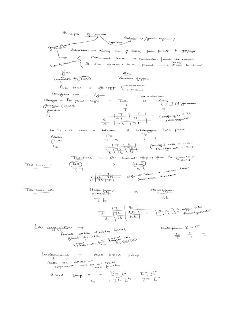 Principles of Genetics Grde 11 CBSE | PDF