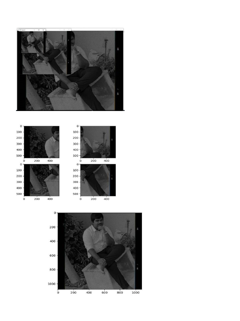 Image | PDF