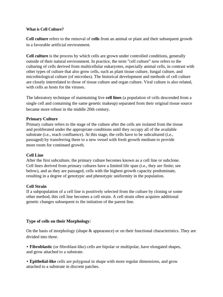 Understanding Cell Culture Basics | PDF | Cell Culture | Laboratory ...