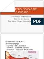 Nancybases Fisiológicas Del Ejercicio