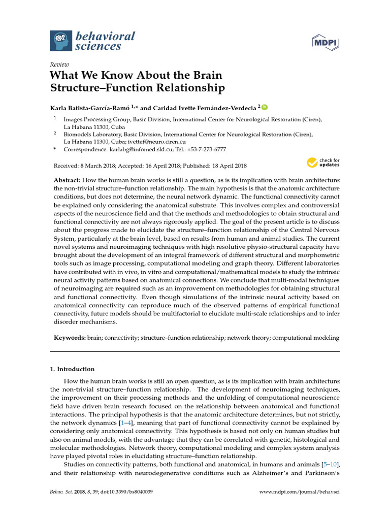 What We Know About The Brain Structure-Function Re | PDF | Functional ...