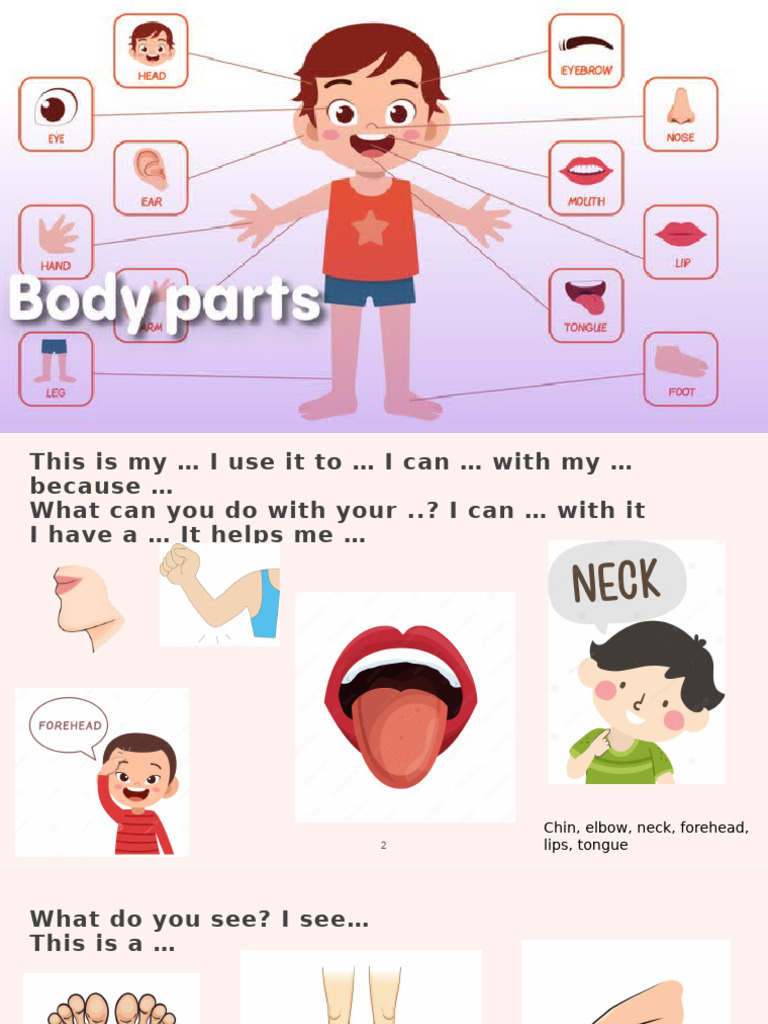 Body Parts Identification Guide | PDF