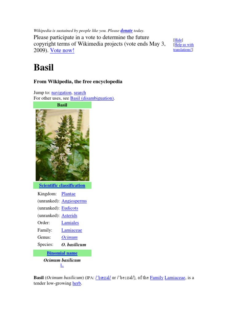 Basil: Classification and Etymology | PDF | Basil | Plants