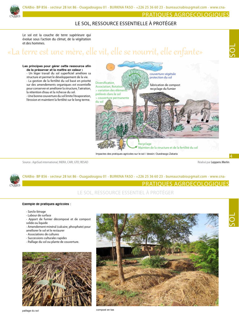 Gestion durable du sol en agroécologie | PDF | Sol (pédologie ...