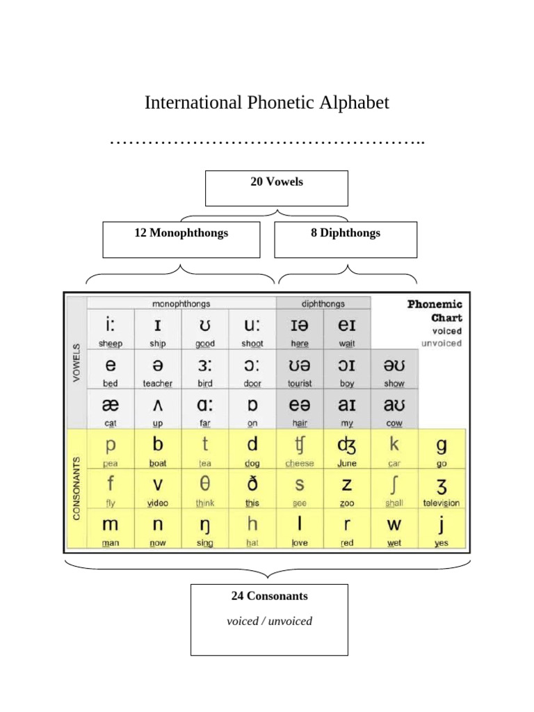 Overview of IPA Vowels and Consonants | PDF