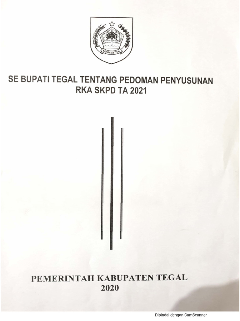 Surat Edaran Bupati Tentang Pedoman Penyusunan Rka SKPD Ta. 2021 | PDF