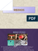 Reinos.ppt