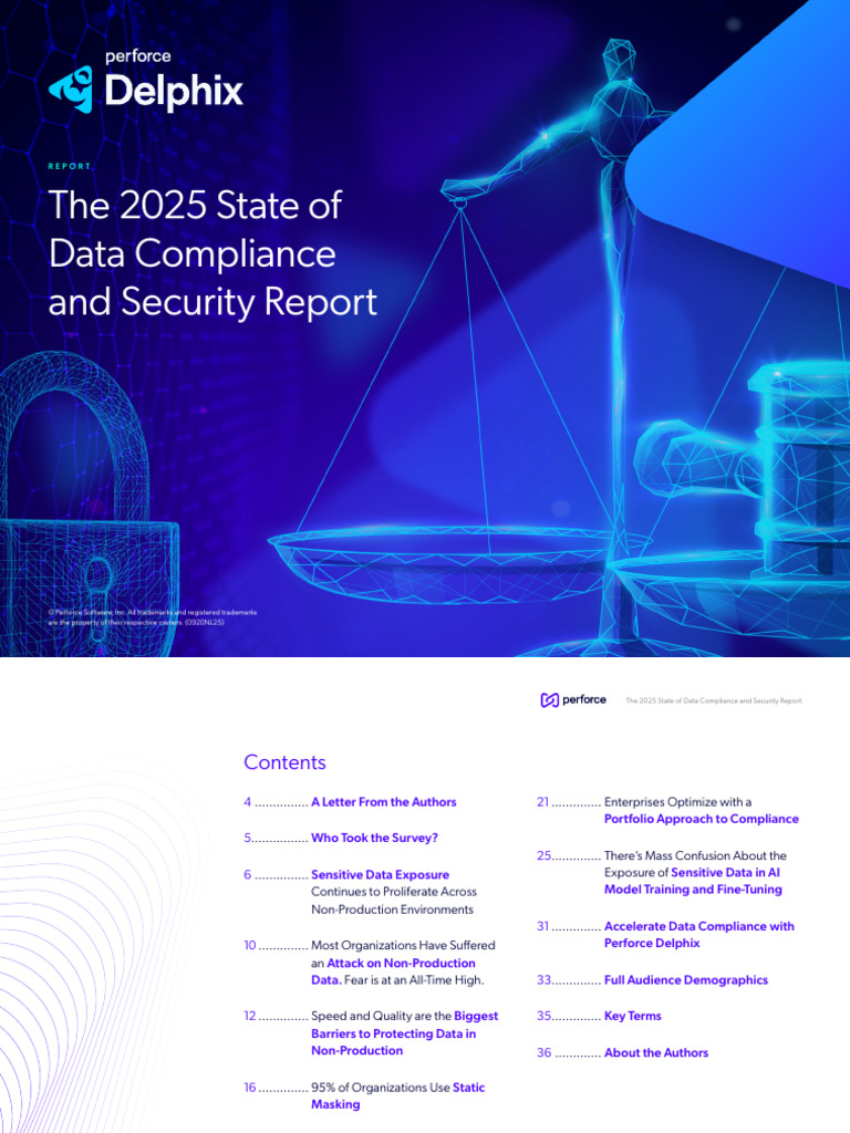2025 Data Compliance & Security Insights | PDF | Business