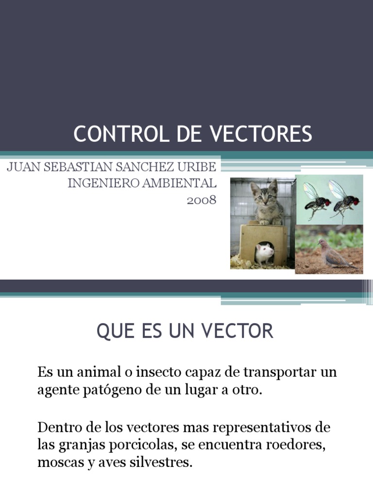 Control de Vectores en Granjas Porcinas | PDF | Roedor | Mosca