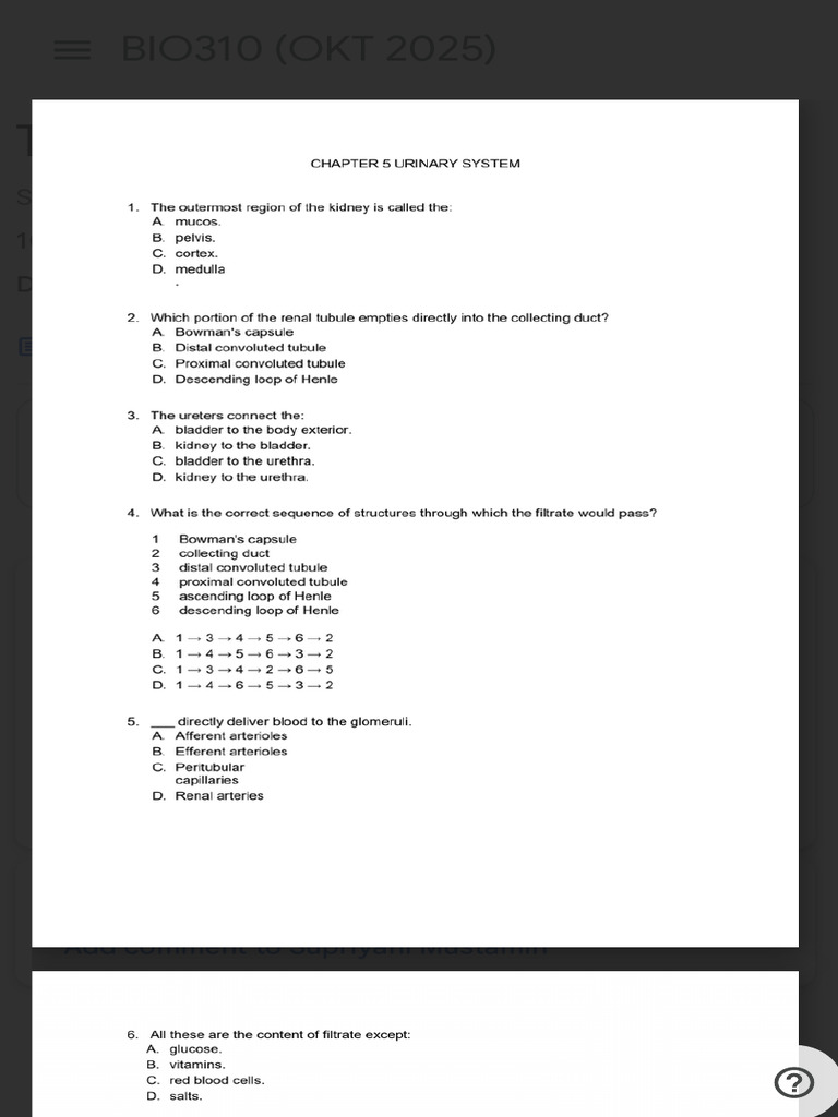 Urinary System Quiz Questions | PDF | Urology | Abdomen
