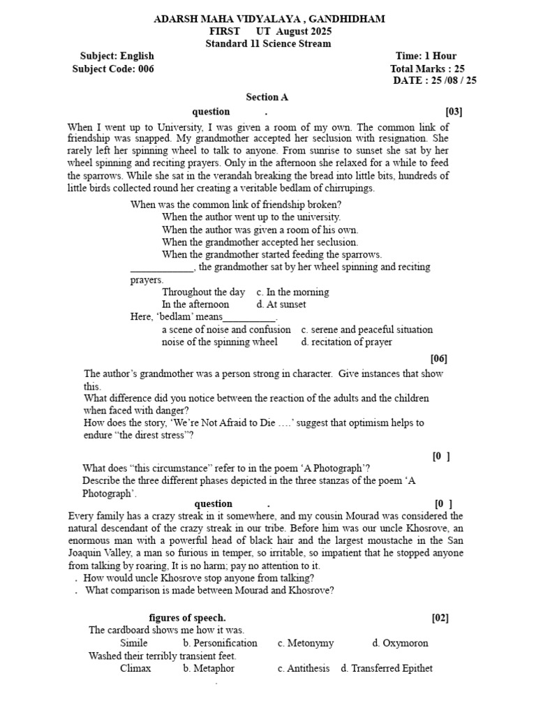 Standard 11 English Exam Paper Guide | PDF