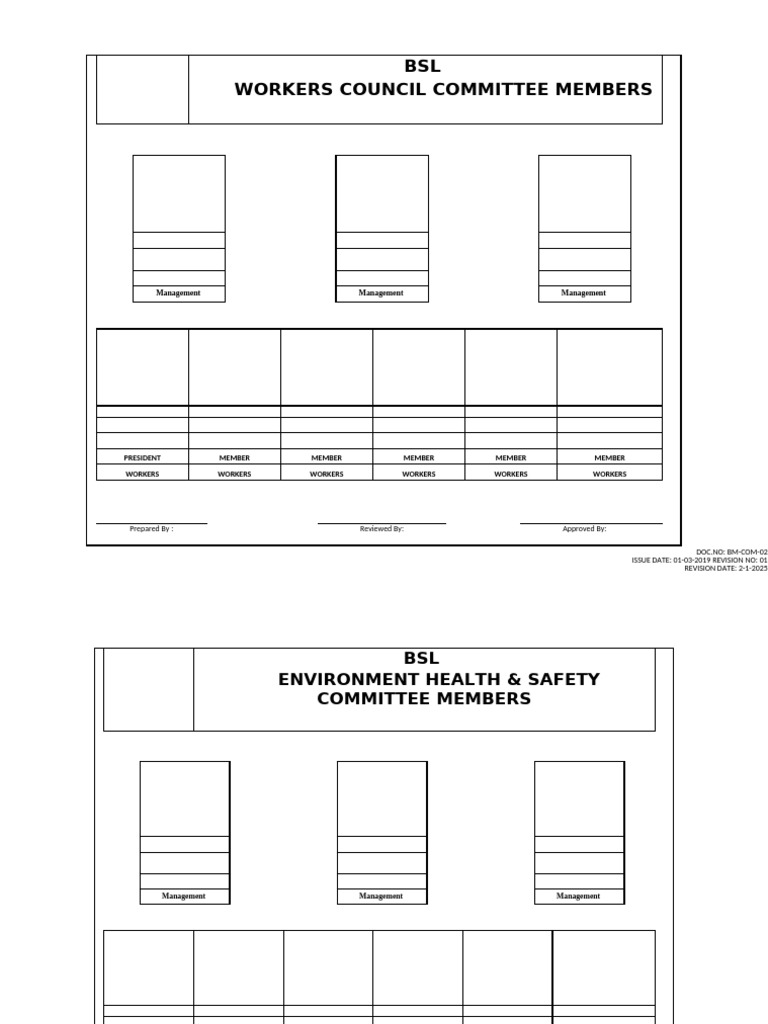 Bsl Committee Members Format | PDF