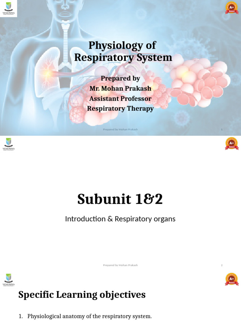 Respiratory System Physiology Overview | PDF | Respiratory System ...