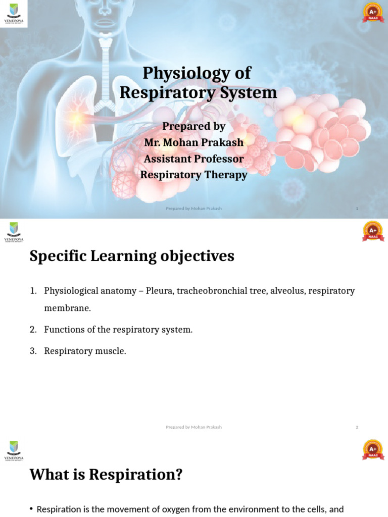 Respiratory System Physiology Overview | PDF | Lung | Hemoglobin