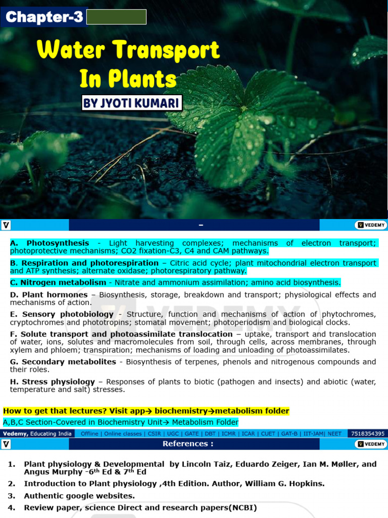 Water Transport Mechanisms in Plants | PDF | Root | Tissue (Biology)