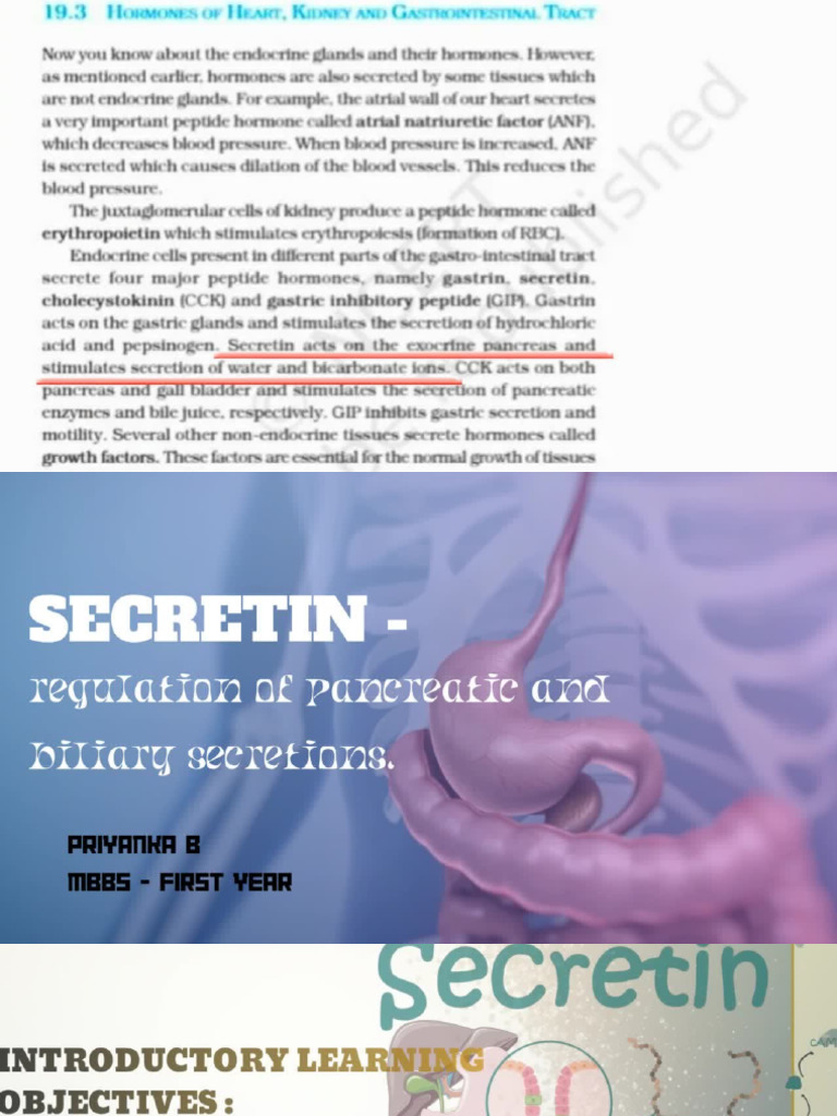 SECRETIN - .PPTX | PDF