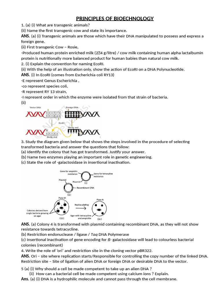 Principles of Biotechnology Explained | PDF | Molecular Cloning ...