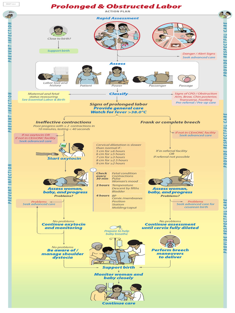 Prolong Obstructed Labour - POL - English - Universal - Action Plan 10. ...