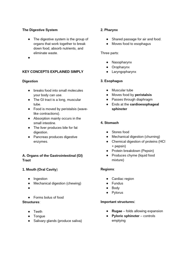Overview of the Digestive System | PDF
