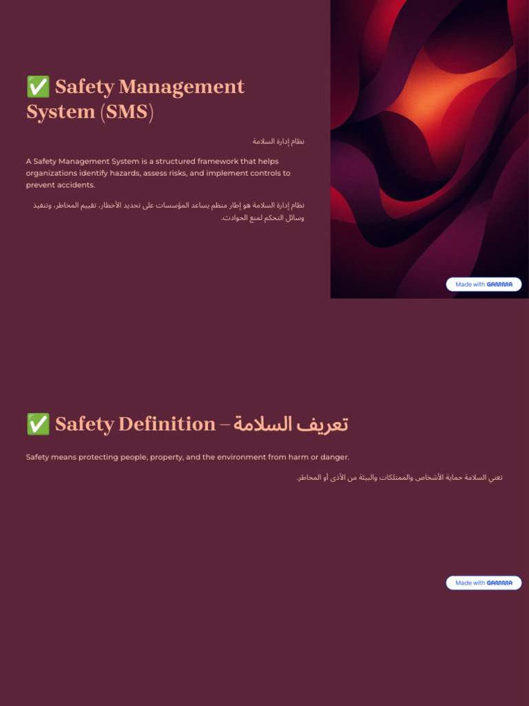 Safety Management System Overview | PDF | Hazards | Safety
