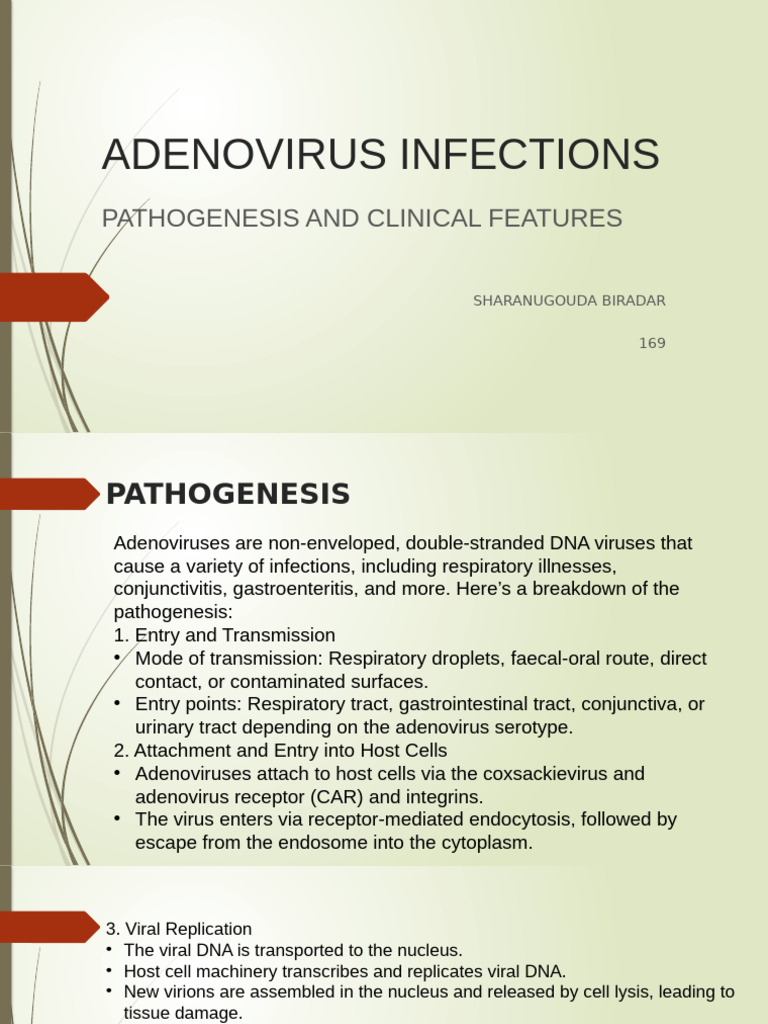 Adenovirus Infections: Pathogenesis & Symptoms | PDF | Adenoviridae | Virus