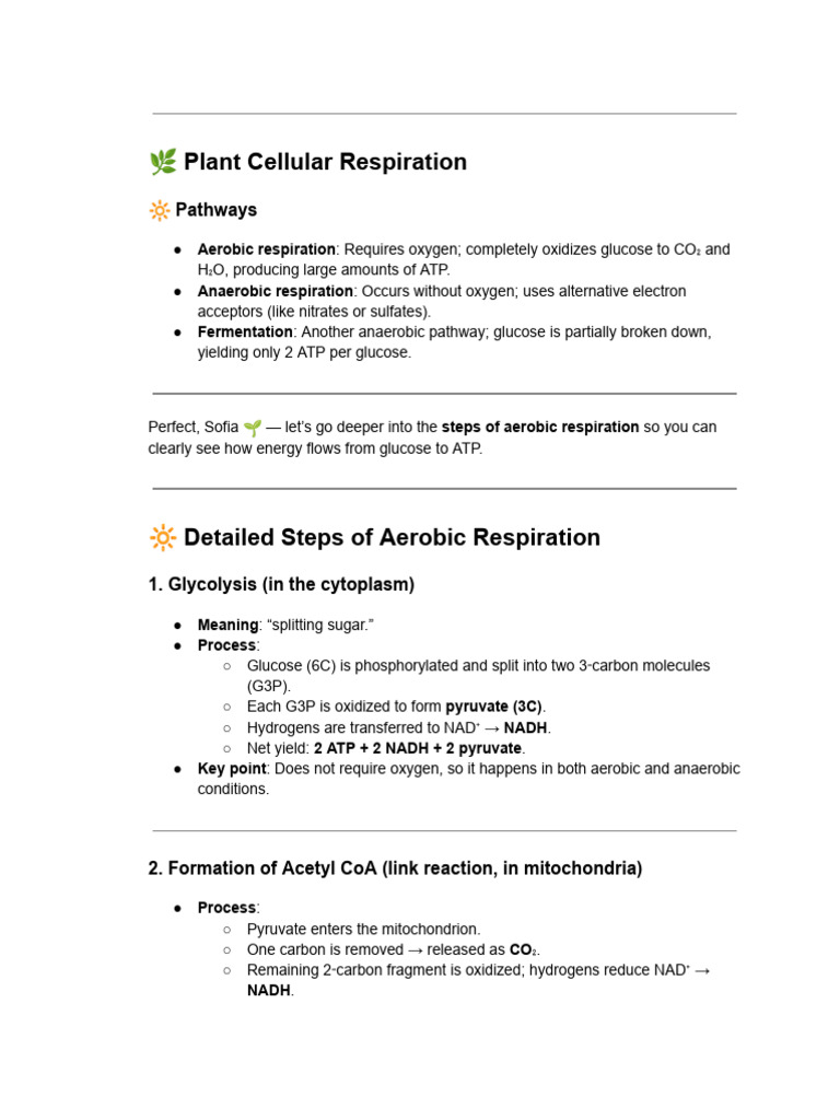 ? Plant Cellular Respiration | PDF | Cellular Respiration | Adenosine ...