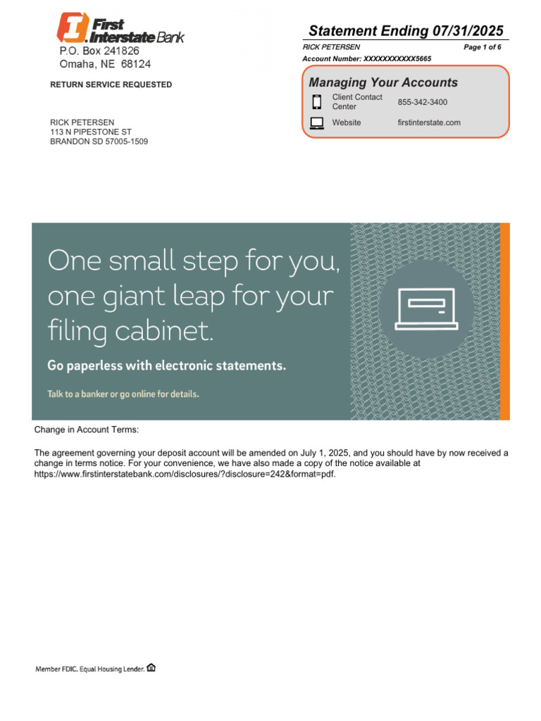 Checking Account Statement Summary | PDF | Debits And Credits | Overdraft