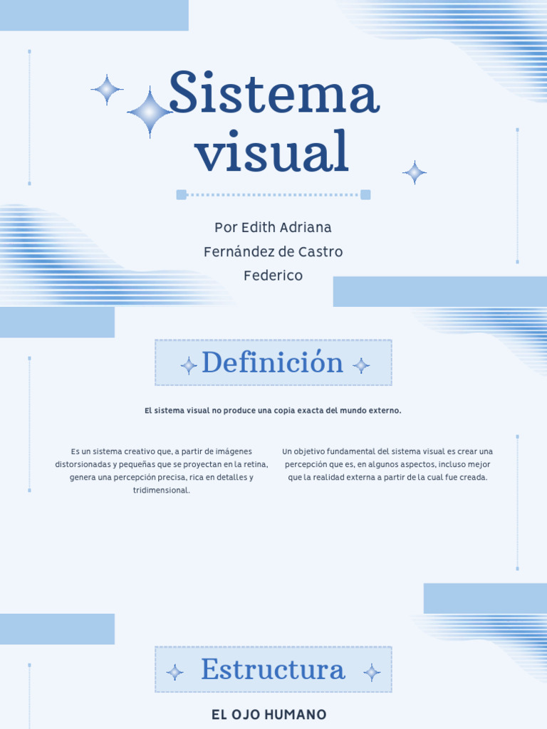 6.1 Presentación Sistema Visual | PDF | Percepción visual | Ojo humano