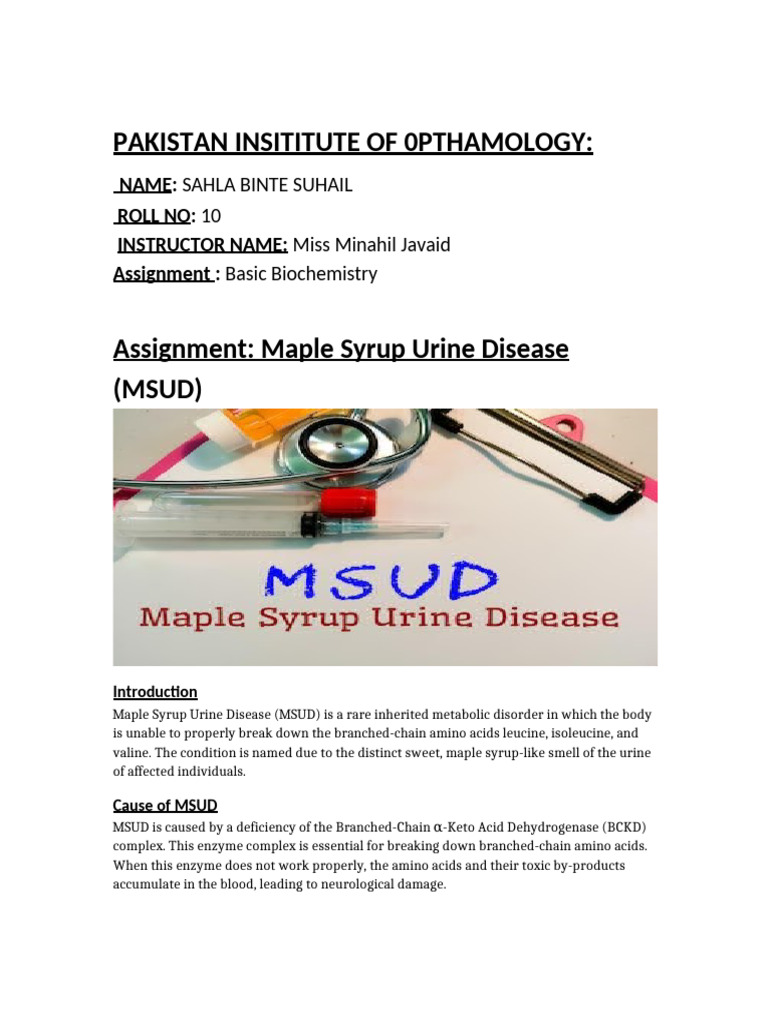 MSUD Assignment 1 | PDF