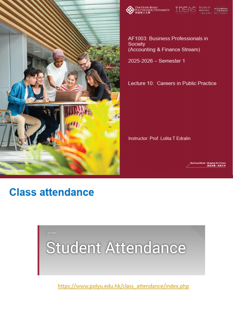 Careers in Public Practice Overview | PDF | Accountant | Financial Analyst