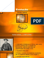 Evolucao