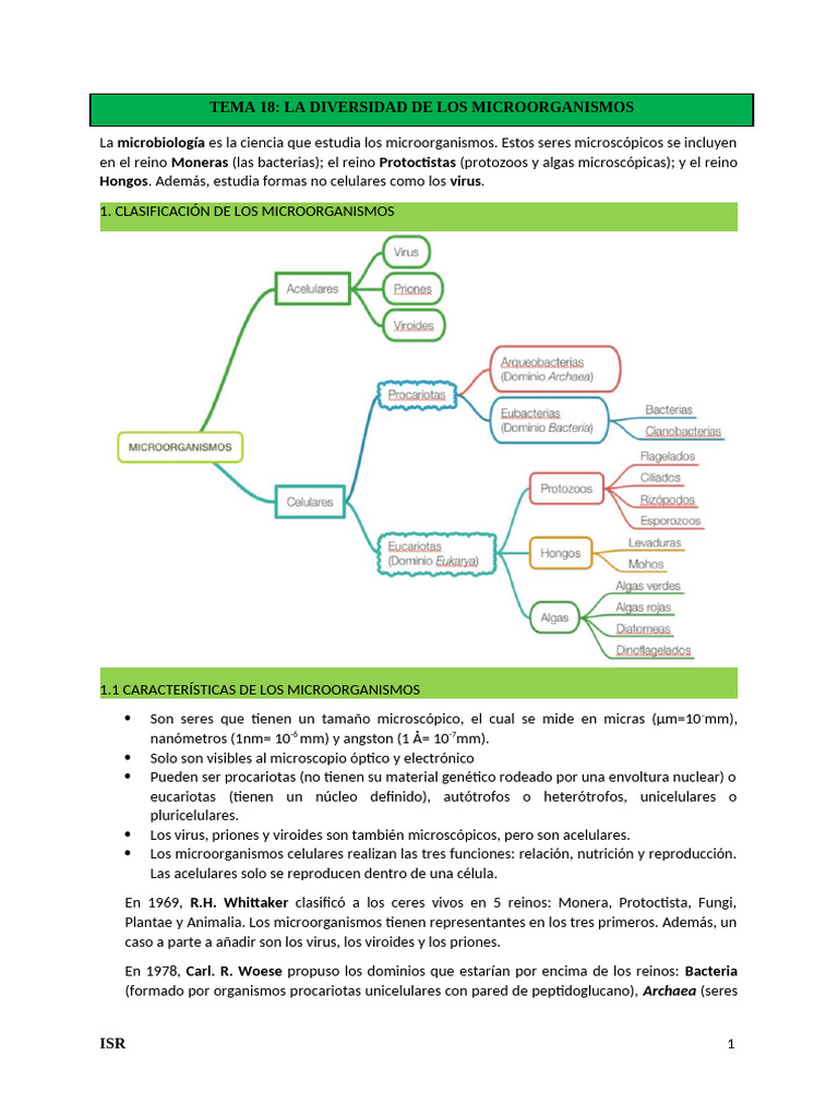 Diversidad y clasificación de microorganismos | PDF | Las bacterias ...