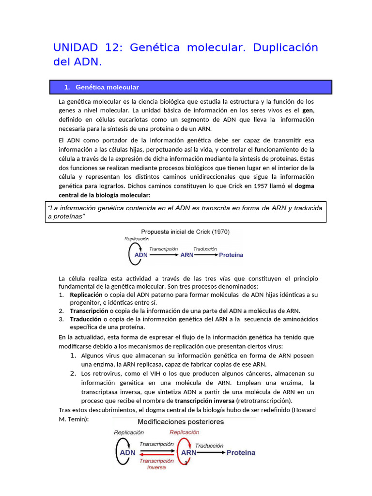 Resumen Duplicación Del ADN y Genética Molecular | PDF | Replicación De ...