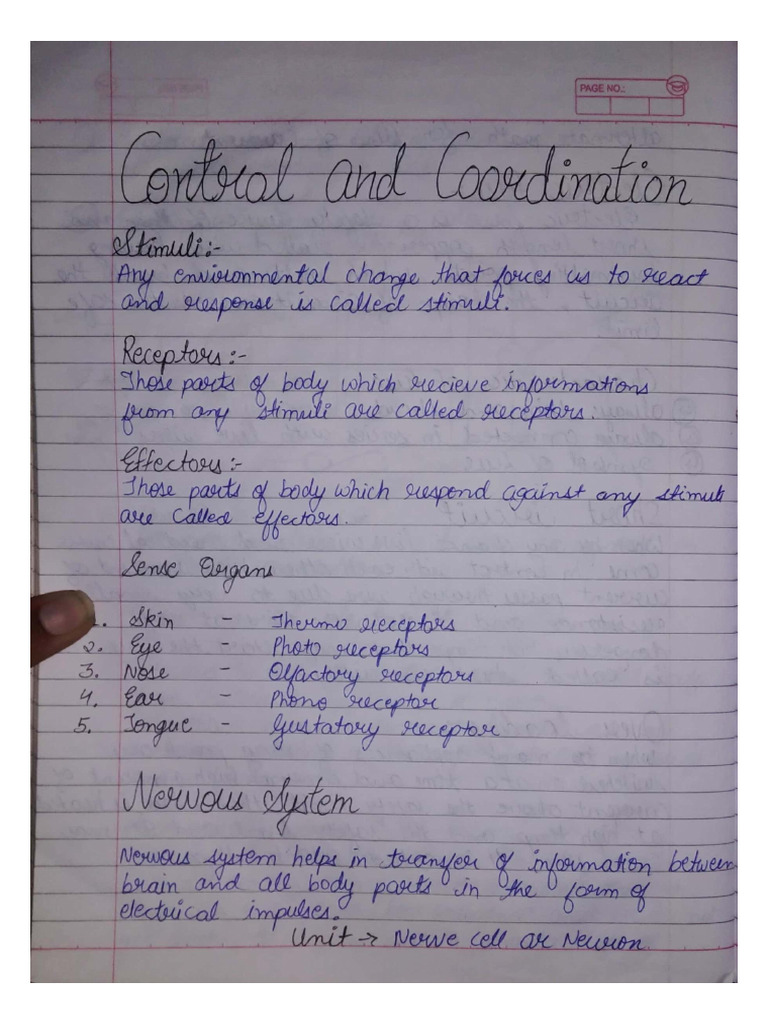 Control and Coordination Class 10 Biology | PDF