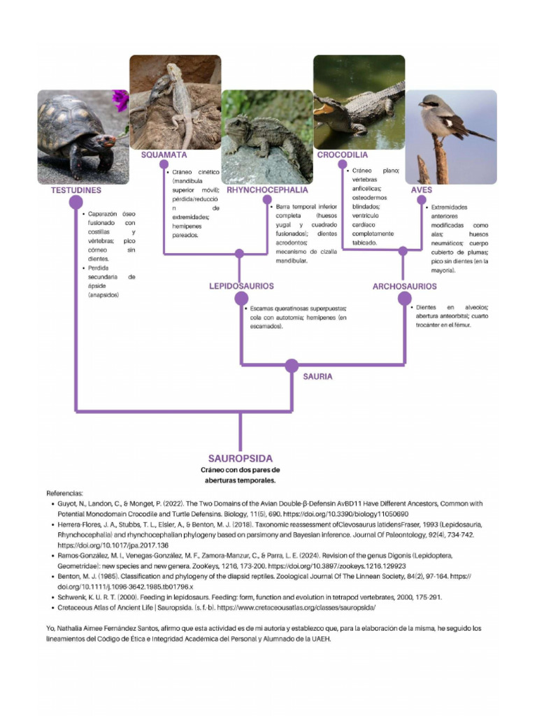 A | PDF