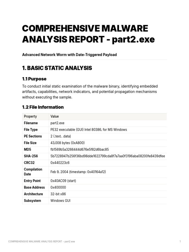 Malware Analysis: Network Worm Report | PDF | Windows Registry | Malware