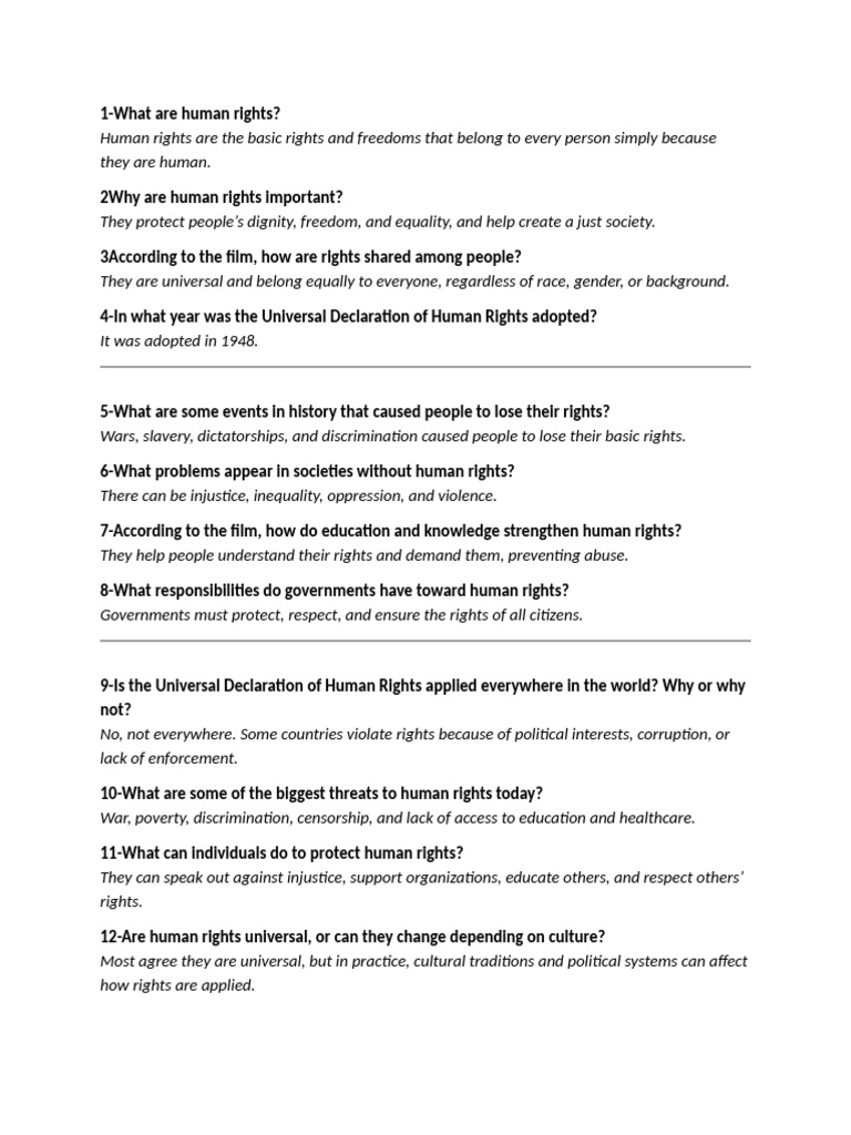 Understanding Human Rights Essentials | PDF
