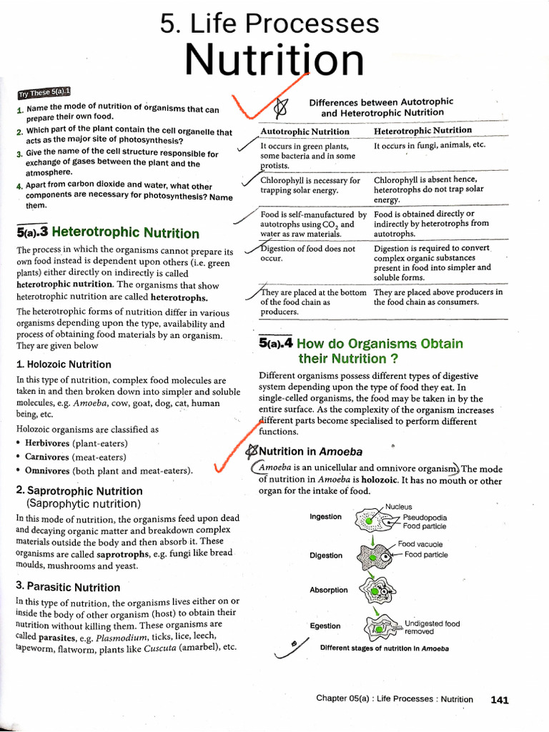 10 Cbse Science 5. Life Processes Nutrition | PDF