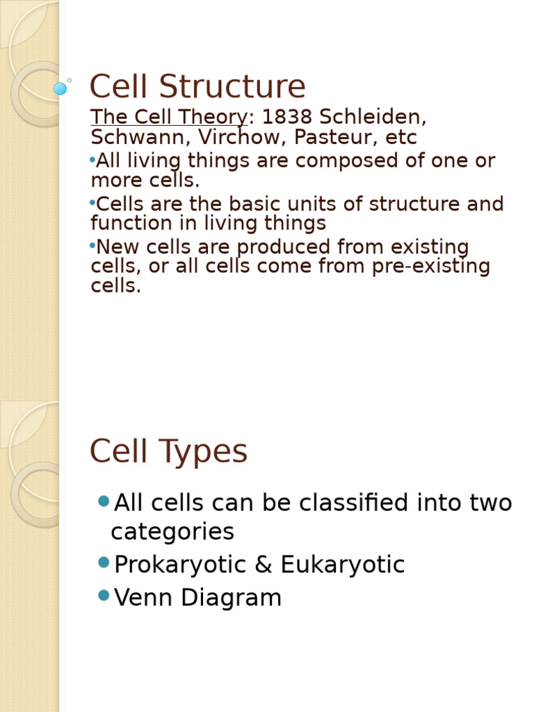 Cell Structure | PDF | Cell (Biology) | Organelle