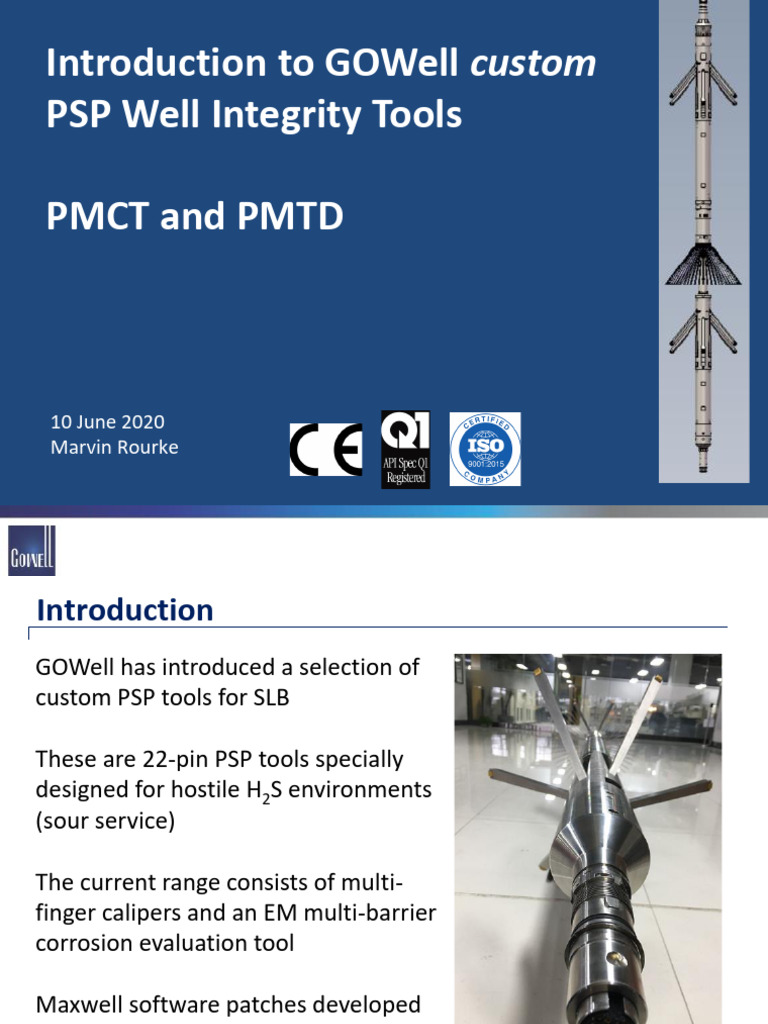 GOWell Custom PSP Tools for Well Integrity | PDF | Computer Engineering ...