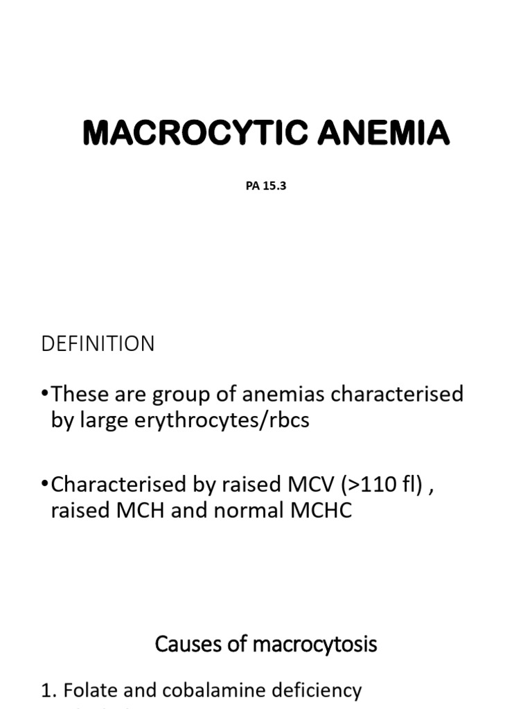 Understanding Macrocytic Anemia Types | PDF | Vitamin B12 | Anemia