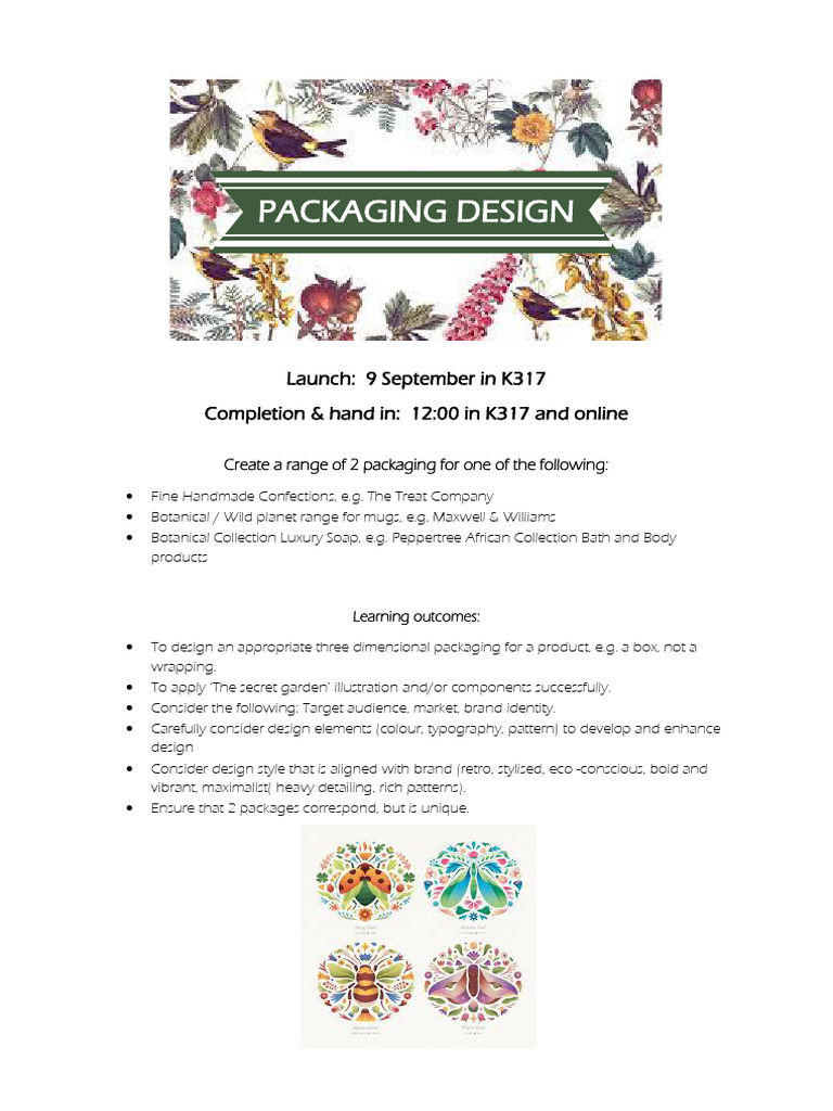 Packaging Design Project Guidelines | PDF